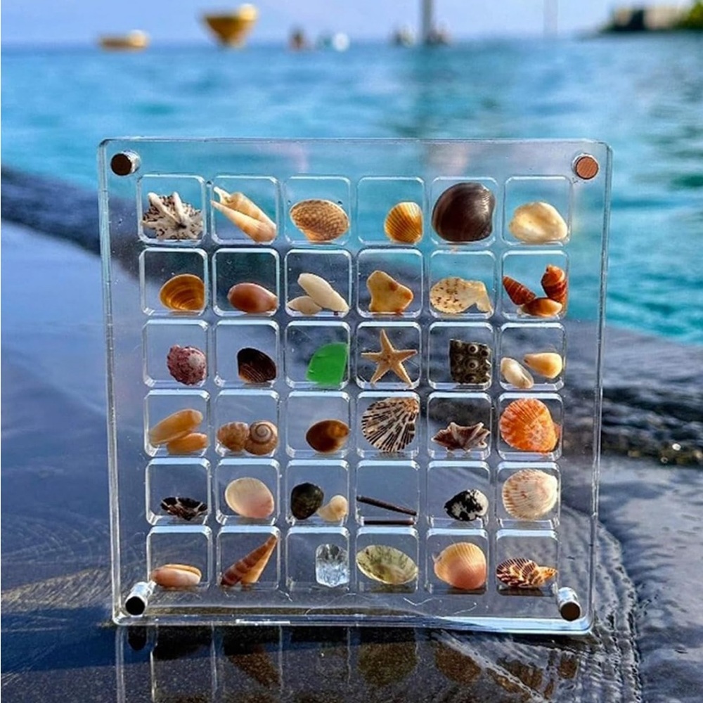 Shell / Trinket / Collectable / Jewelry Display Holder